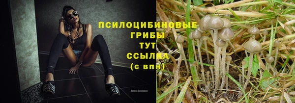 твердый Губаха