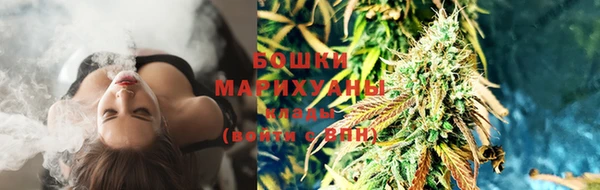 кокс Михайлов