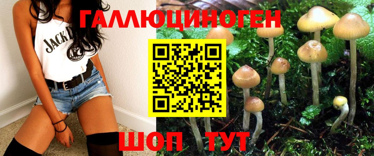 Галлюциногенные грибы ЛСД Качканар