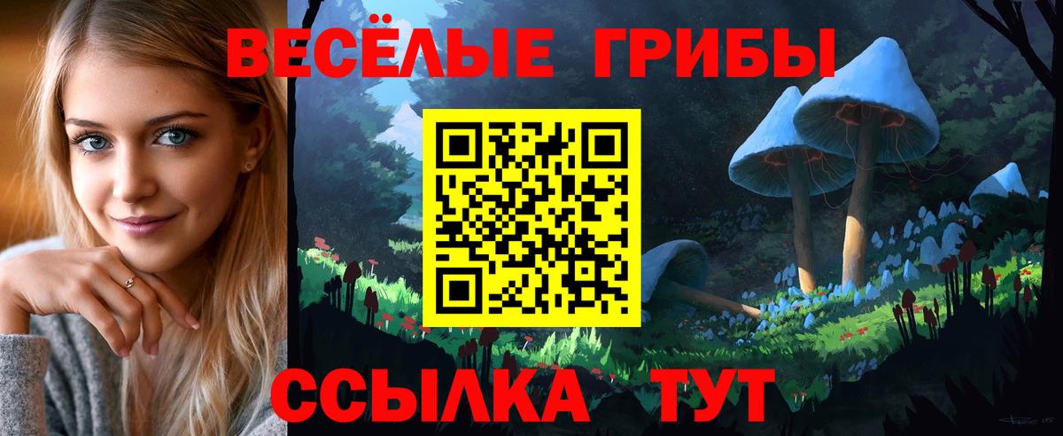 Псилоцибиновые грибы мицелий  Вход с VPN  Качканар 